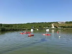20230715_103531-400x300.jpg