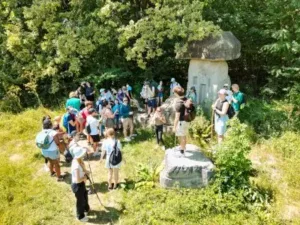 71-400x300.jpg